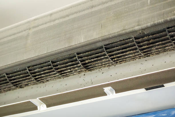 Best Commercial Air Duct Cleaning  in Vineyard Haven, MA
